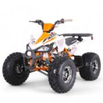 TaoMotor 125 Cheetah DLX Kids ATV - Image 11
