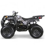 Coolster DX2 150cc Utility Full-Size ATV - Image 6