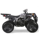 Coolster DX3 175cc Utility Full-Size ATV - Image 3