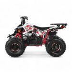 Coolster 125cc R2 Kids ATV - Image 6