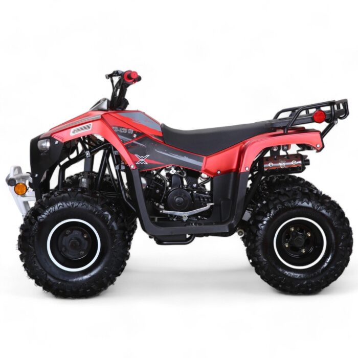 Coolster 125cc Mammoth Kids ATV - Image 7
