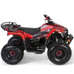 Coolster 125cc Mammoth Kids ATV - Image 8