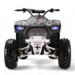Coolster 125cc Mammoth Kids ATV - Image 2