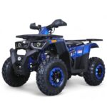 TaoMotor G200cc Fully Loaded ATV - Image 5