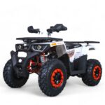 TaoMotor G200cc Fully Loaded ATV - Image 8