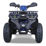 TaoMotor G200cc Fully Loaded ATV - Image 2