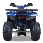 TaoMotor G200cc Fully Loaded ATV - Image 3