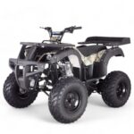 TaoMotor Rhino 250 ATV - Image 7