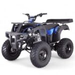 TaoMotor Rhino 250 ATV - Image 8