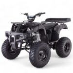 TaoMotor Rhino 250 ATV - Image 4