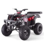 TaoMotor Rhino 250 ATV - Image 5
