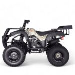TaoMotor Rhino 250 ATV - Image 2