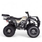 TaoMotor Rhino 250 ATV - Image 3