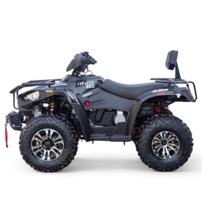 Terminator 300cc 4x4 ATV - Image 6