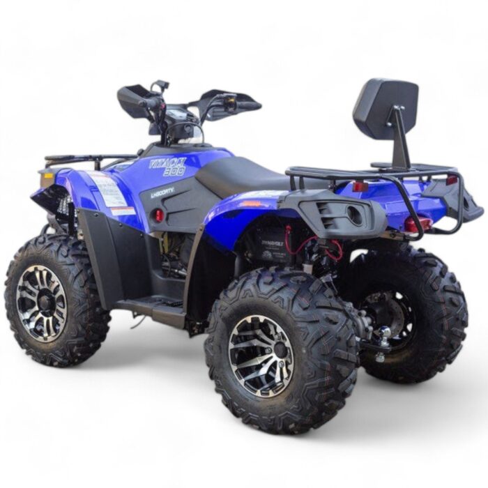 Terminator 300cc 4x4 ATV - Image 4