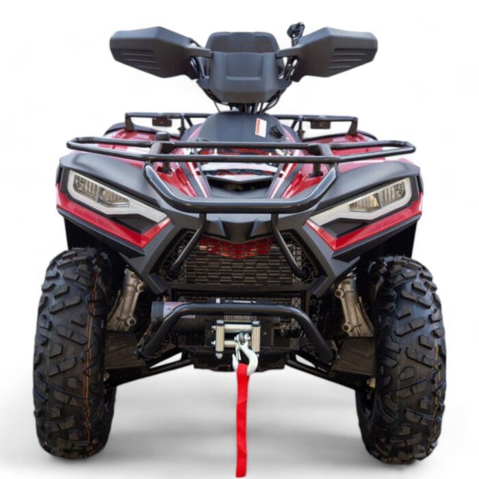Terminator 300cc 4x4 ATV - Image 3