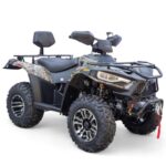 Terminator 300cc 4x4 ATV - Image 2