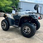 Terminator 300cc 4x4 ATV - Image 18