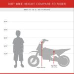 Apollo 110cc Fully Automatic Kids Dirt Bike - Image 2