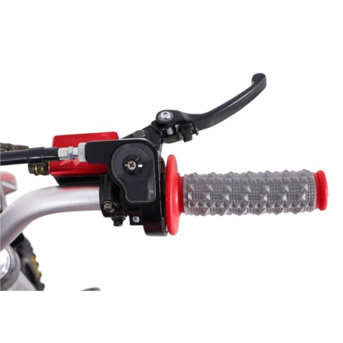 TaoMotor DBX1 140cc Dirt Bike - Image 2