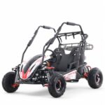 Taomotor Baja Sprinter 200 Go-Kart - Image 14
