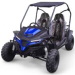 TrailMaster Cheetah Go-Kart