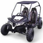 TrailMaster Cheetah Go-Kart - Image 2