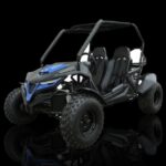 TrailMaster Cheetah 200E Go-Kart