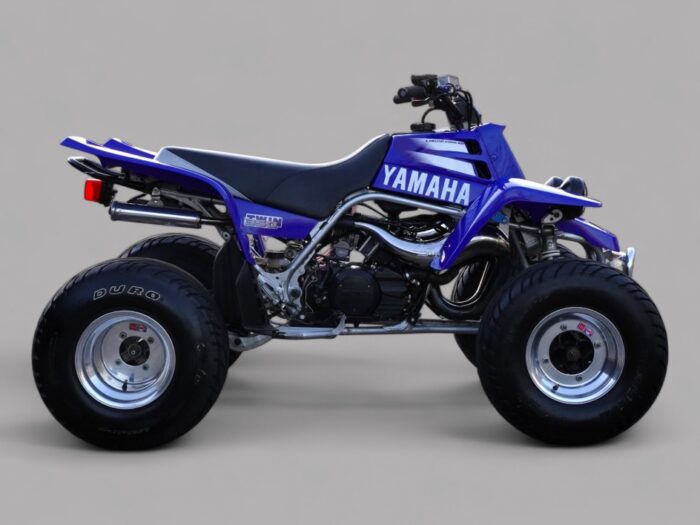 2002 YAMAHA BANSHEE 350