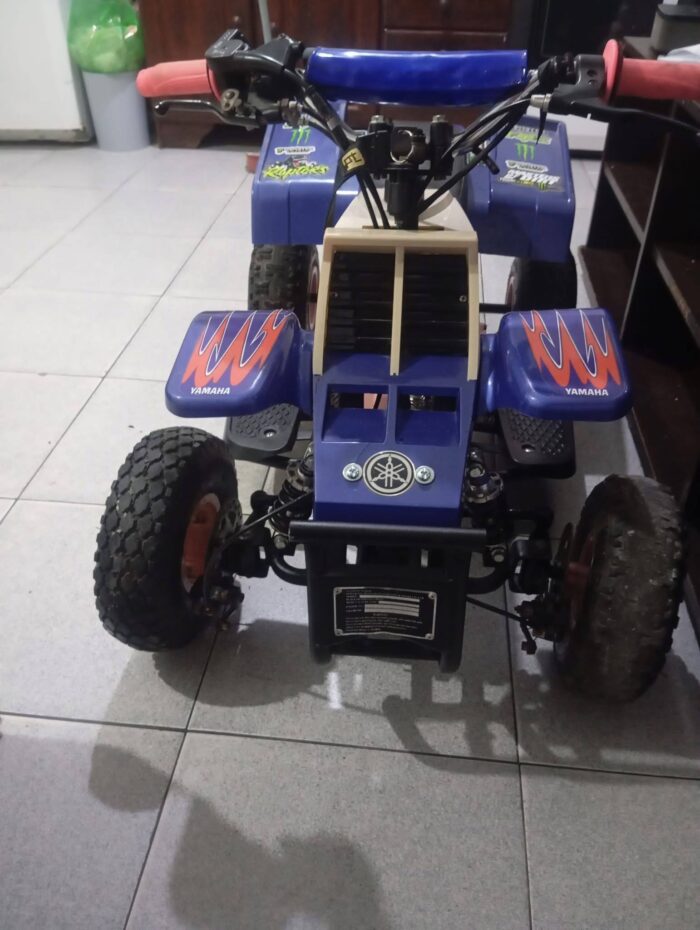 49CC KIDS BANSHEE ATV