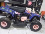 49CC KIDS BANSHEE ATV