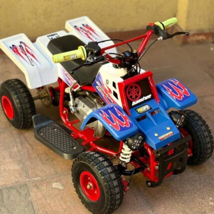 49CC KIDS MINI BANSHEE ATV