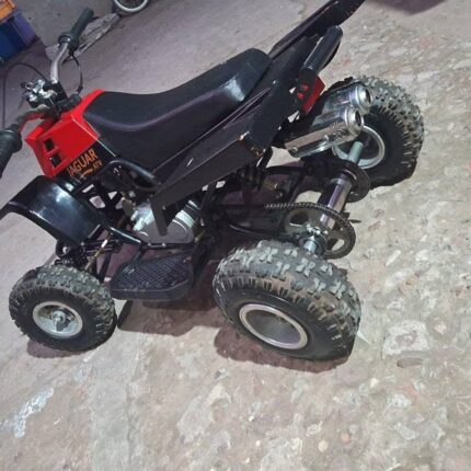 49CC MINI KIDS BANSHEE