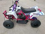49CC MINI KIDS BANSHEE