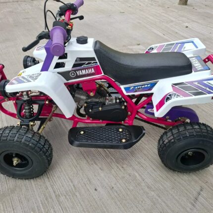 49CC MINI KIDS BANSHEE