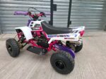 49CC MINI KIDS BANSHEE