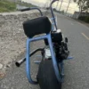 Custom Minibike (50mph)