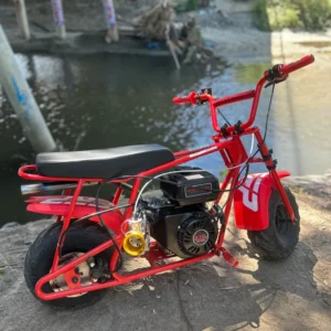 3D0963FB-B5B3-4BCC-8096-33D9787574F3.webp 212cc FRP MOTO MINIBIKE