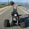 Custom Minibike Trike