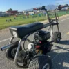 Custom Minibike Trike