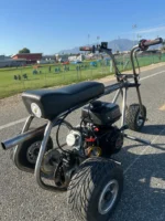 Custom Minibike Trike