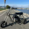 Custom Minibike Trike