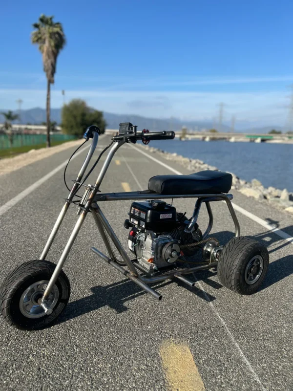 Custom Minibike Trike