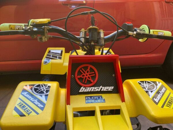 Best 49cc Kids Banshee