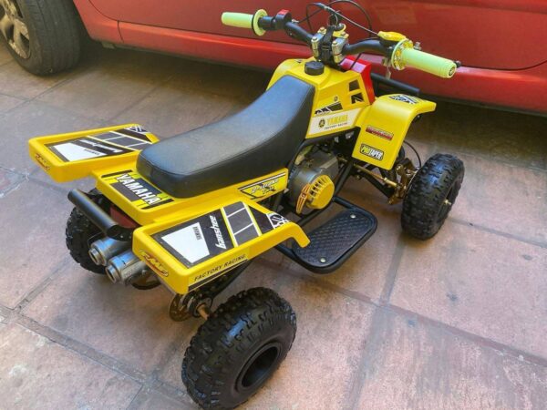 Best 49cc Kids Banshee