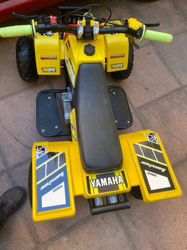 Best 49cc Kids Banshee