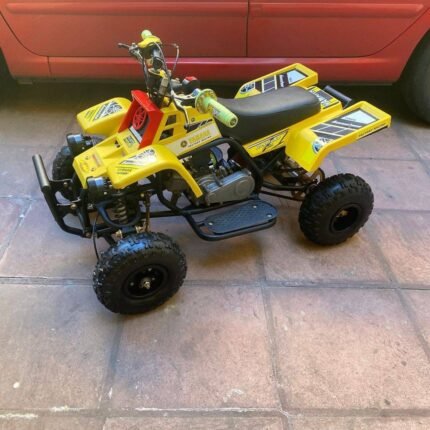 49cc Kids Banshee