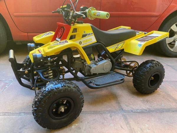 Best 49cc Kids Banshee