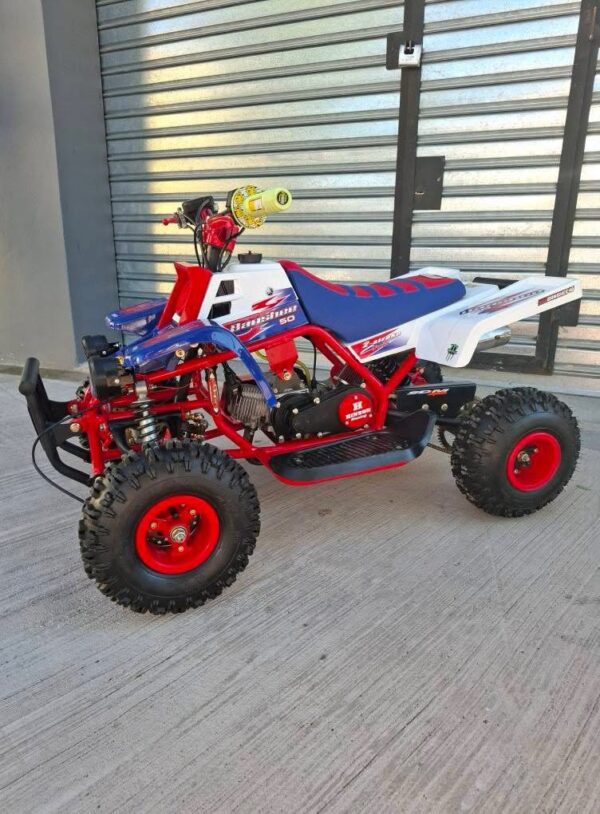 Best 49cc Gas Powered Mini Banshee for Kids