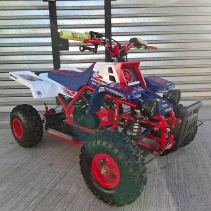 49cc Gas Powered Mini Banshee for Kids